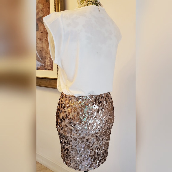 Joie Sequin Nude Tonal Mini Skirt $428 - Picture 10 of 13
